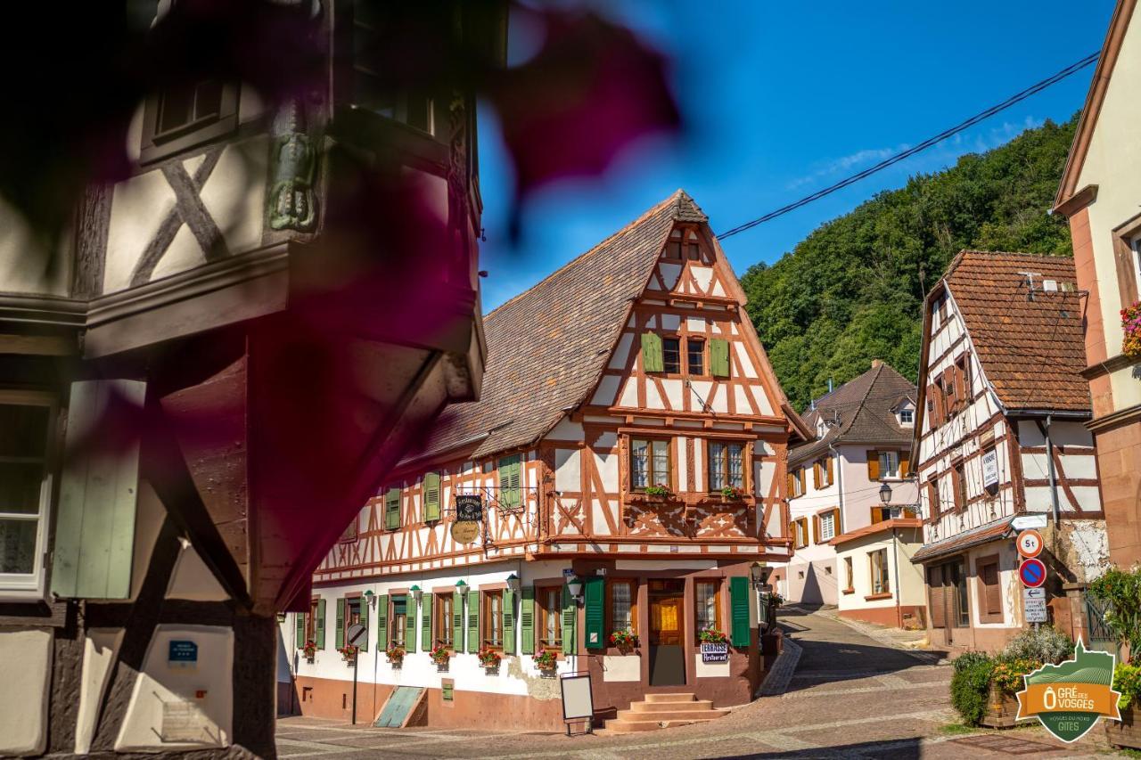 Gite O Gre Des Vosges 5 Etoiles Oberbronn, Vosges Du Nord מראה חיצוני תמונה