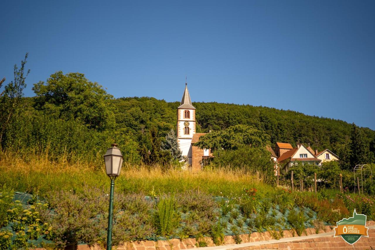 Gite O Gre Des Vosges 5 Etoiles Oberbronn, Vosges Du Nord מראה חיצוני תמונה