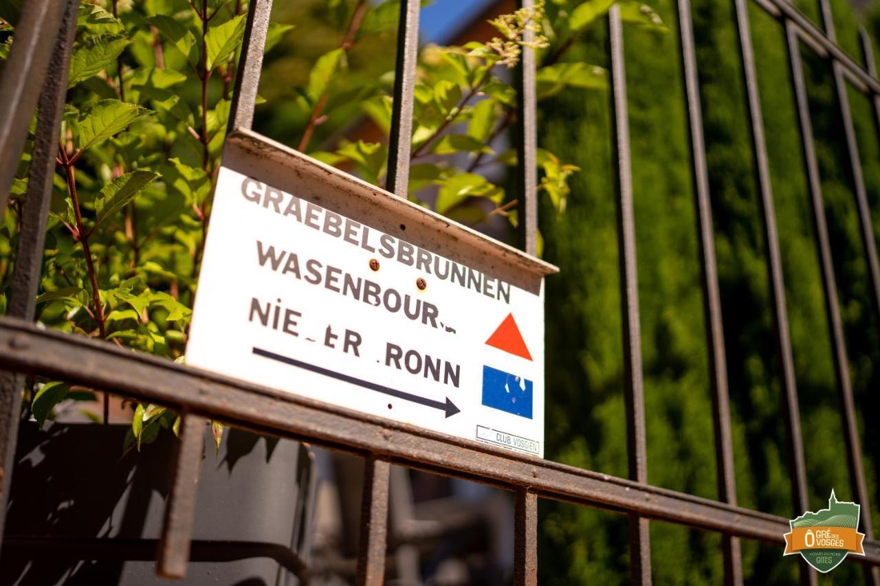 Gite O Gre Des Vosges 5 Etoiles Oberbronn, Vosges Du Nord מראה חיצוני תמונה