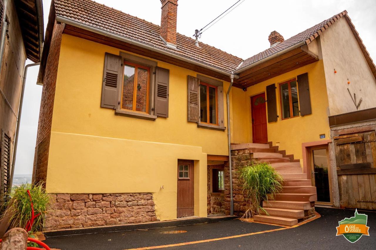 Gite O Gre Des Vosges 5 Etoiles Oberbronn, Vosges Du Nord מראה חיצוני תמונה