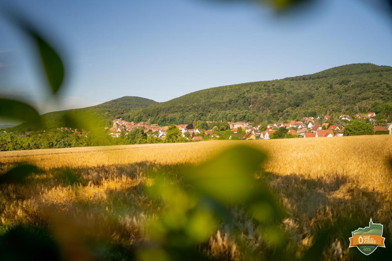 Gite O Gre Des Vosges 5 Etoiles Oberbronn, Vosges Du Nord מראה חיצוני תמונה